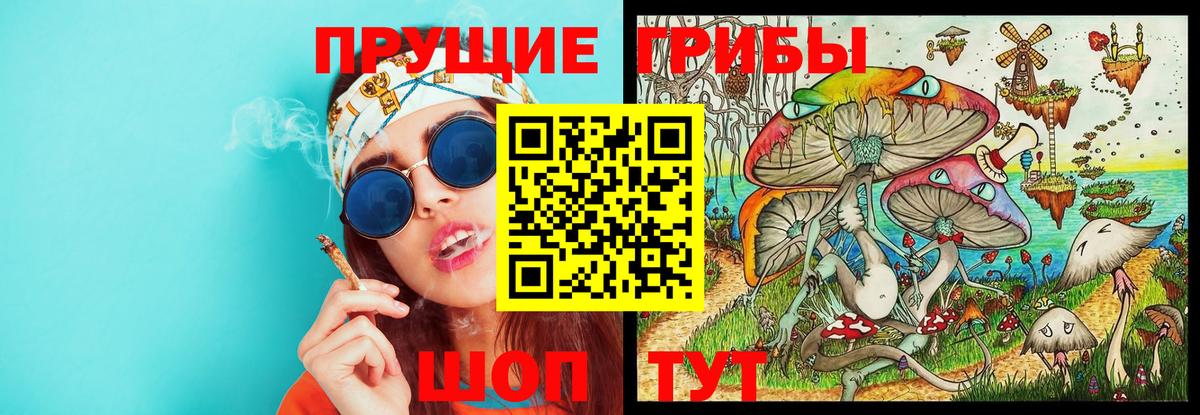 Дивногорск  Псилоцибиновые грибы Psilocybine cubensis  Вход с VPN 