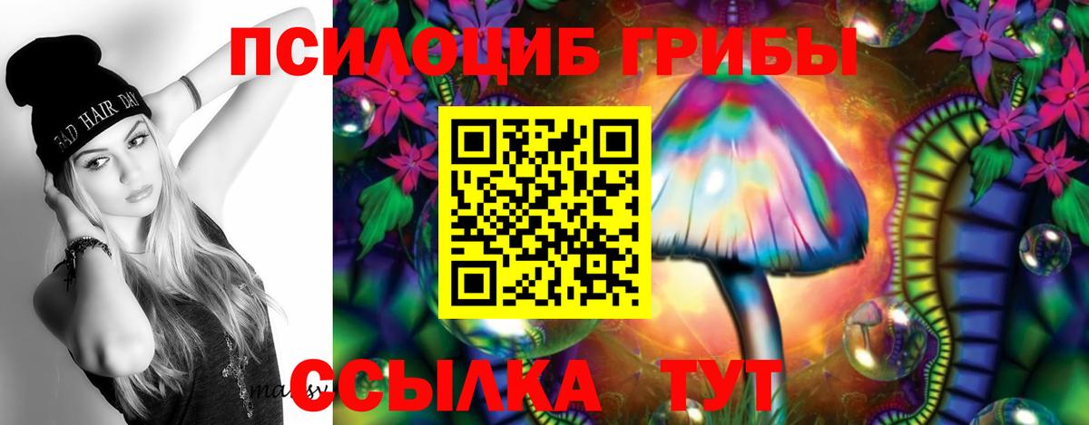 Галлюциногенные грибы мухоморы Дивногорск